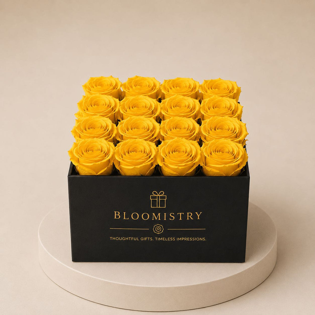 yellow | black | premium