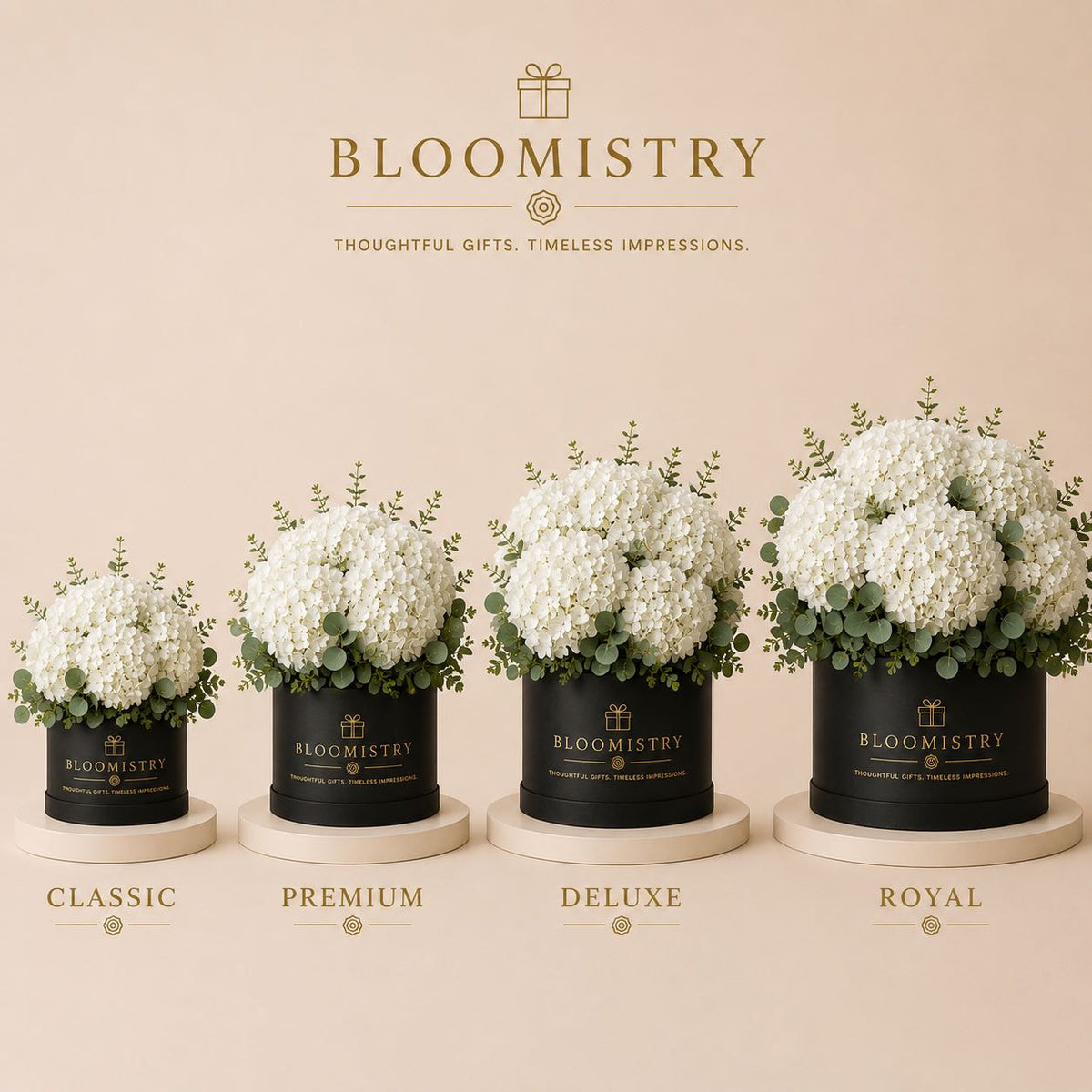 Hydrangea Blanc in Box – size comparison – luxury flowers delivered in the UAE by Bloomistry