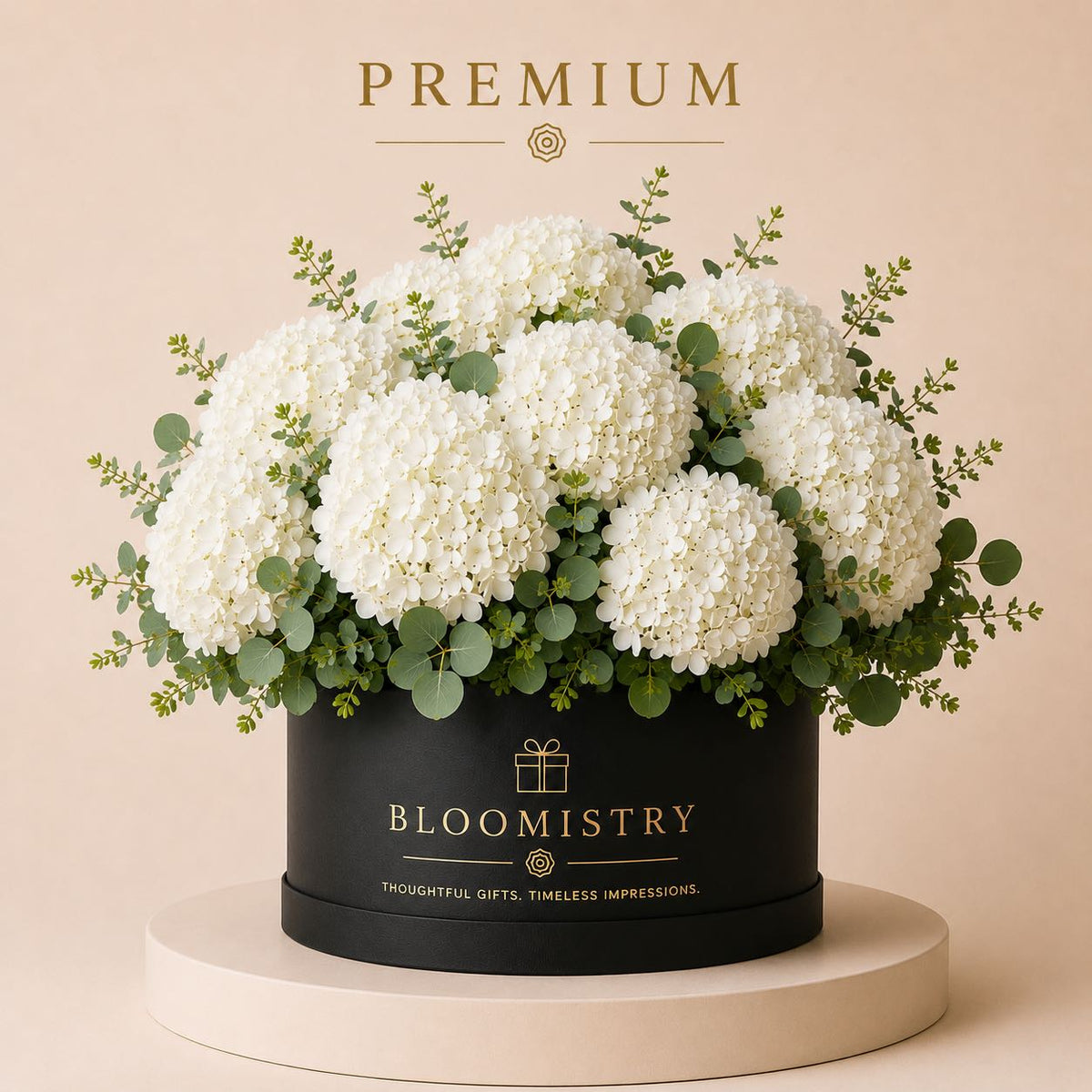 White Hydrangea in Black box Premium
