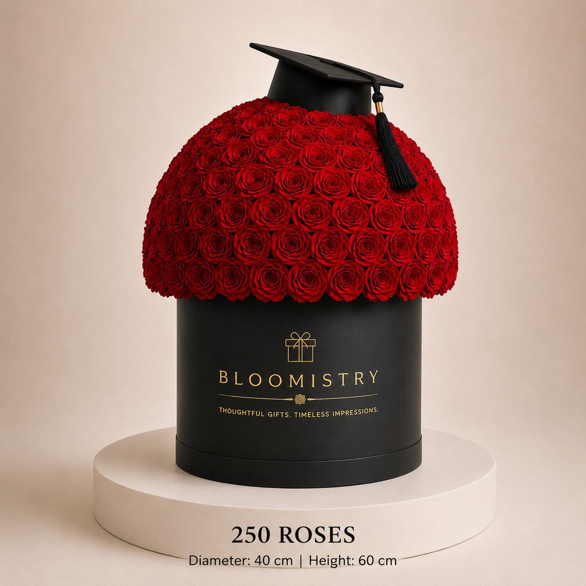 Red Rose in black Box classic
