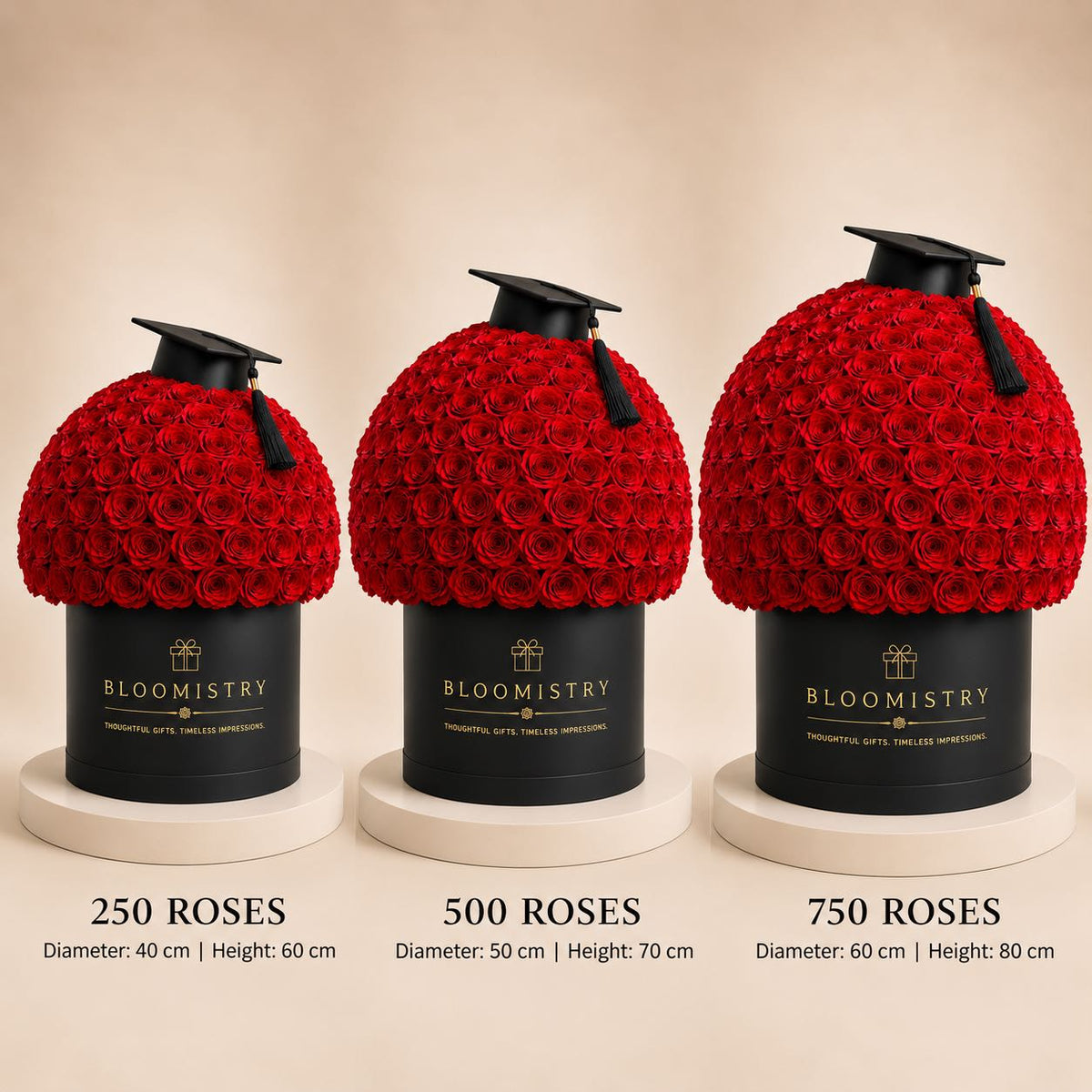 Graduation Rose Hatbox – size comparison – luxury flowers delivered in the UAE by Bloomistry