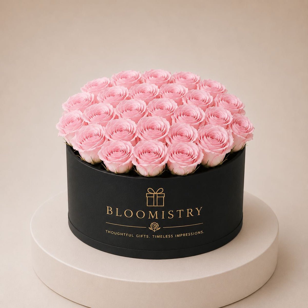 Pink rose in Black box premium