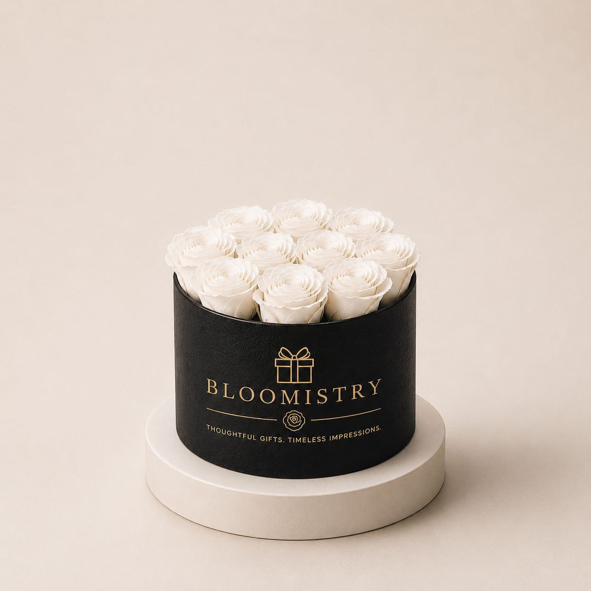 White rose in Black box classic