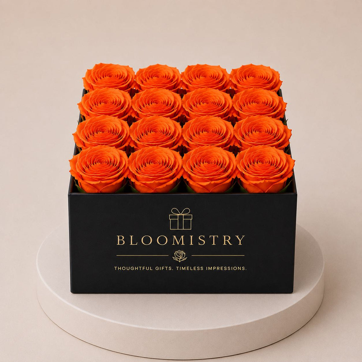 orange | black | premium