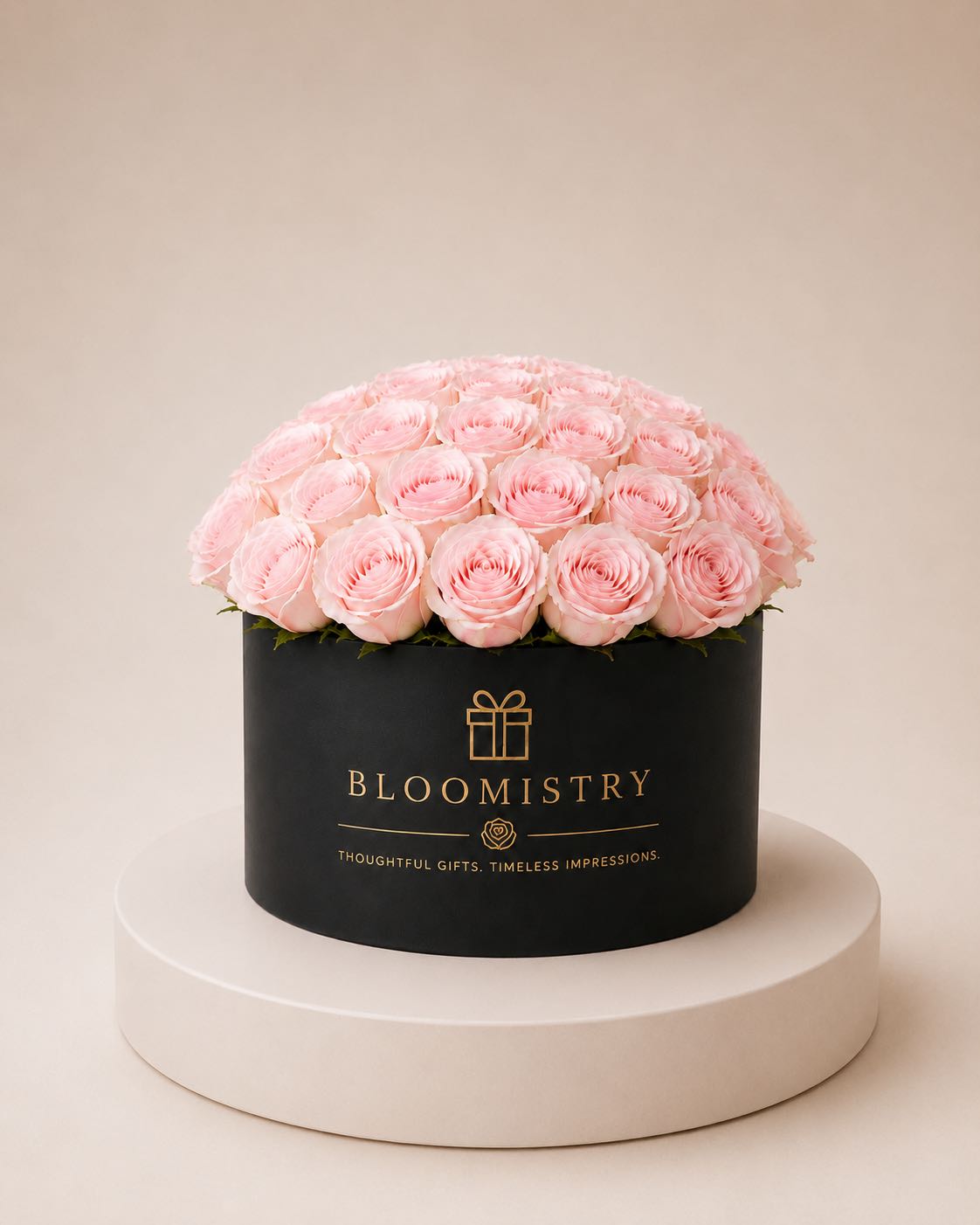 Pink rose in Black Box Classic
