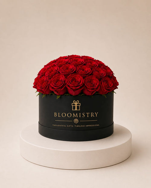 Red rose in Black Box Classic