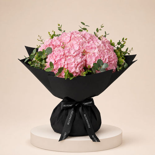 Pink Hydrangea in black wrapping
