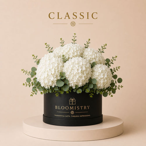White Hydrangea in Black box Classic