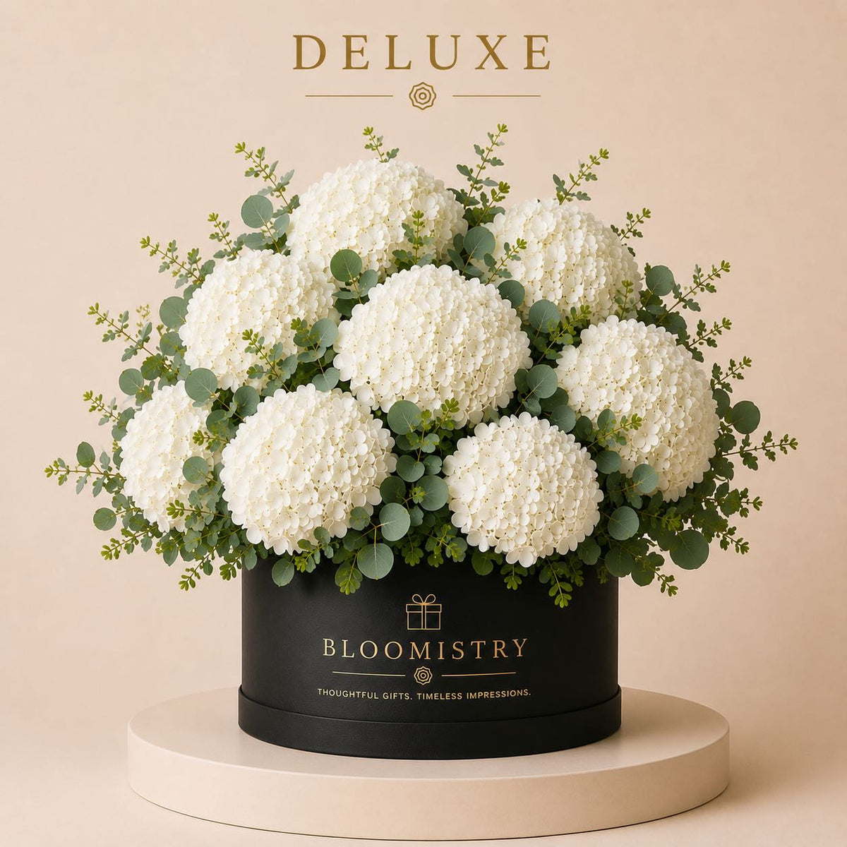 White Hydrangea in Black box deluxe