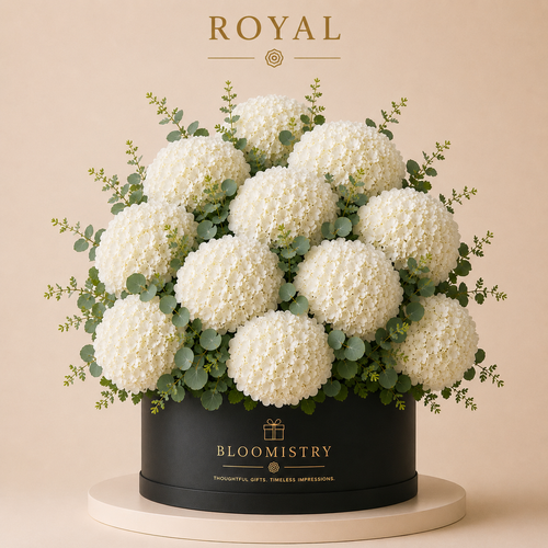 White Hydrangea in Black box Royal