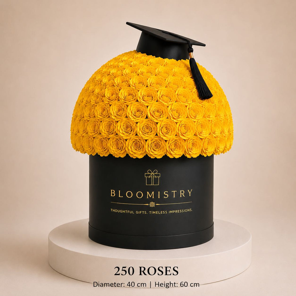 Yellow Rose in black Box classic