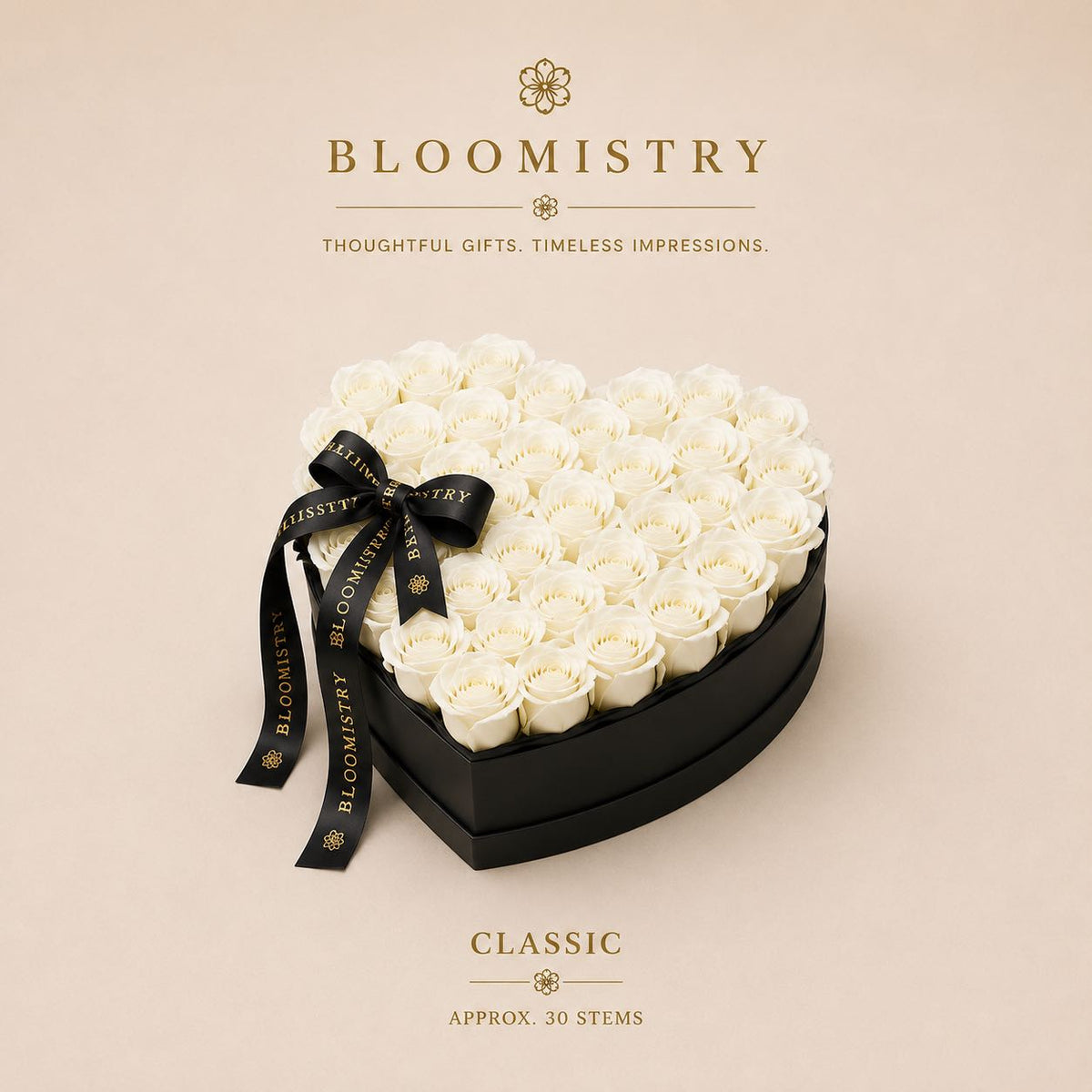 White rose in black box classic