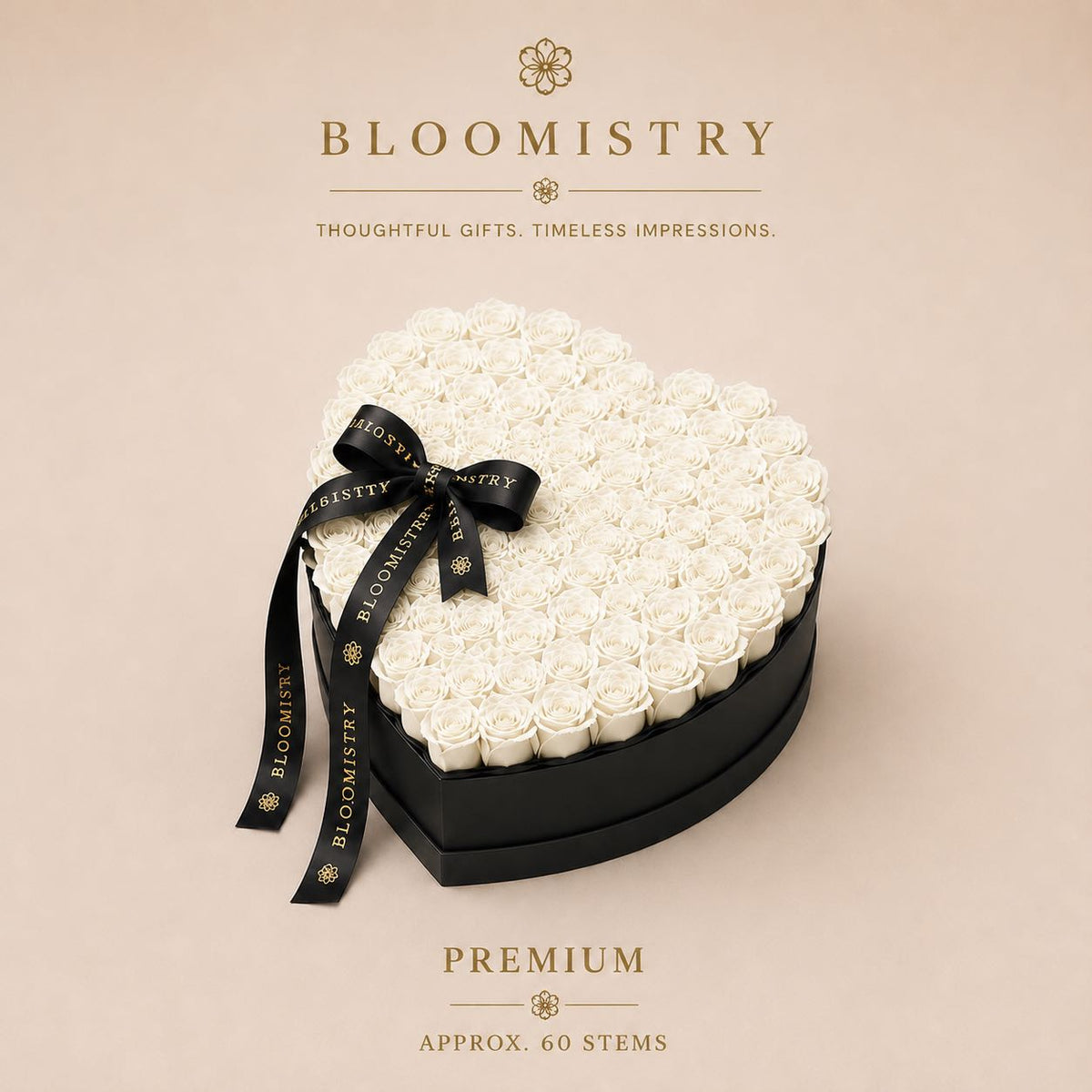 White rose in black box Premium