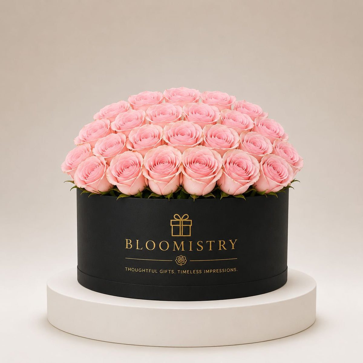 Pink rose in Black Box premium