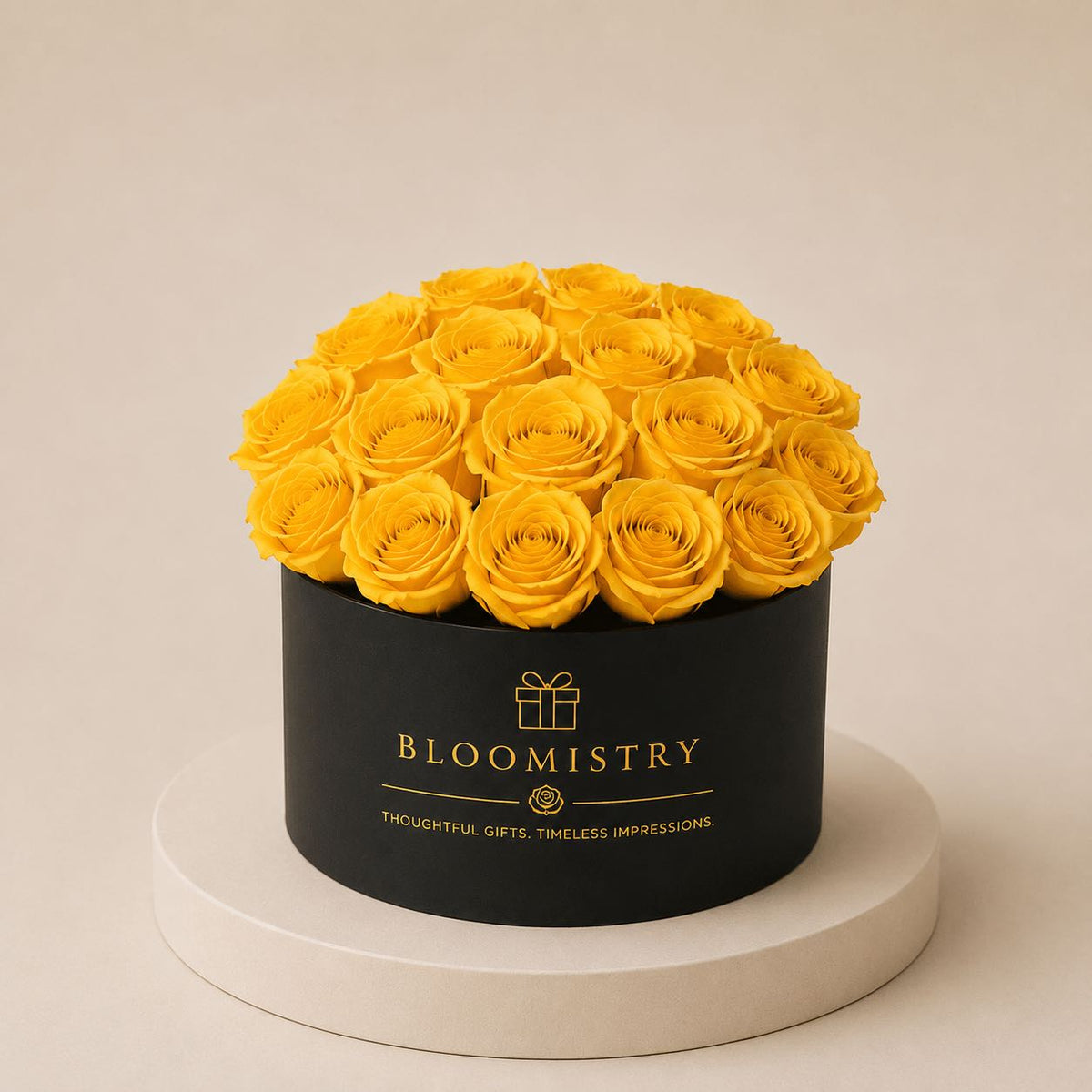 Yellow rose in Black Box Classic